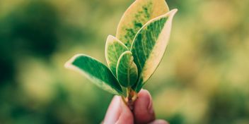 Bild: Chitto Cancio – Unsplash
