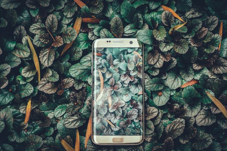 Bild: Ravi Kumar - Unsplash, CC0 Bild: Ravi Kumar - Unsplash, CC0