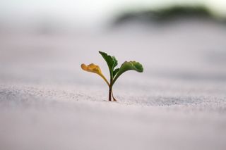 Bild: Jeremy Bishop - Unsplash Bild: Jeremy Bishop - Unsplash