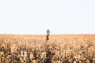Bild: Daniel Jensen – Unsplash
