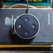 Photo by Andres Urena on Unsplash