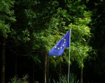 Bild: Jan Keller – Unsplash