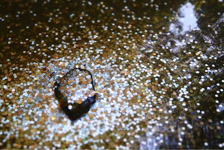 Bild: Abigail Low; CC0 - unsplash.com Bild: Abigail Low; CC0 - unsplash.com