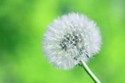 Bild: Alexander Grey – Unsplash