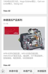 Screenshot Linde Hydraulics in China