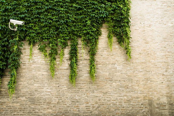 Bild: Kai Oberhäuser, unsplash.com unsplash.com
