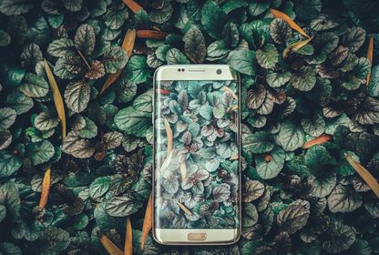 Bild: Ravi Kumar – Unsplash