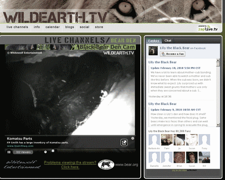 Lily schläft mal wieder und wann hängen Sie ihrem Haustier eine Webcam um?, Screenshot Wildearth.TV