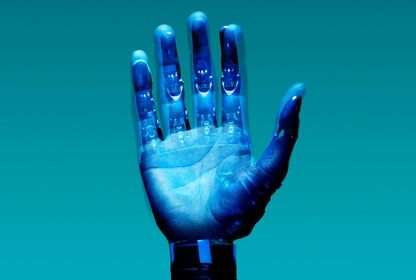 Bild: Sarmad – Adobe Stock, Bild: Sarmad – Adobe Stock