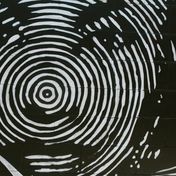 Bild: Noelle Rebekah - Unsplash