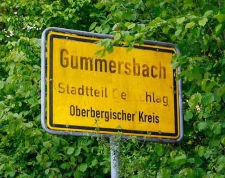 Bild: Stock Birken – Unsplash