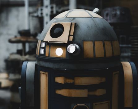 Bild: Samuel Ramos – Unsplash