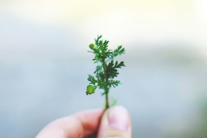 Bild: Nils Stahl – Unsplash Bild: Nils Stahl – Unsplash