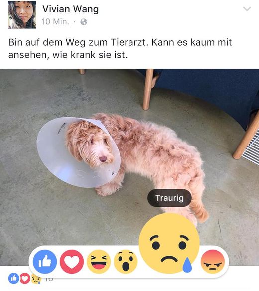 Bild: Facebook Presse