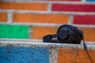 Warum Audio nicht das Schicksal des linearen TV erleiden wird
