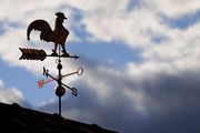 Bild: Bertold Werkmann - Adobe Stock Bild: Bertold Werkmann - Adobe Stock