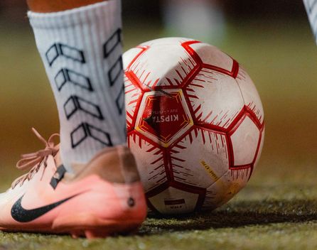 Bild: Davide Aracri – Unsplash