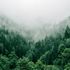 Bild: Marita Kavelashvili - Unsplash