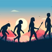 Bild: Knut – Adobe Stock, Bild: Knut – Adobe Stock