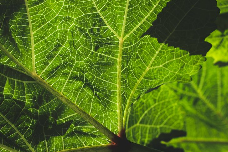 Bild: Stephanie Moody – Unsplash