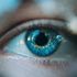 Bild: Ion Fet - Unsplash