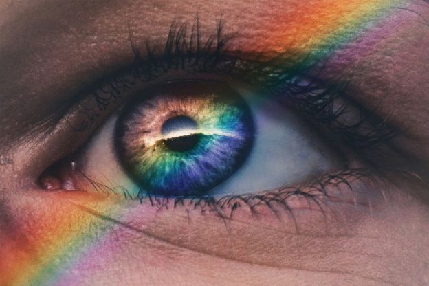 Bild:  Harry Quan – Unsplash
