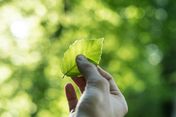 Bild: Tobias Weinhold - Unsplash