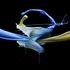 Bild: Andrey Polichenko - Adobe Stock