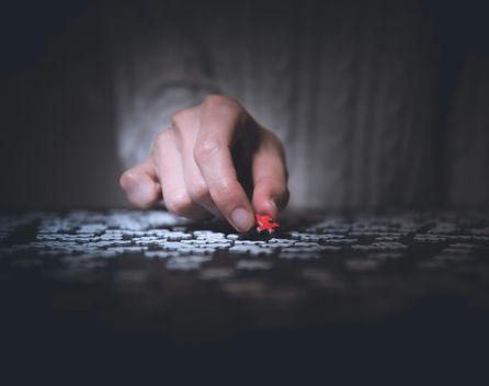 Bild: Ryoji Iwata - Unsplash