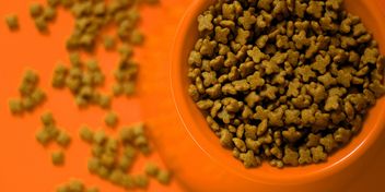 Bild: Daniel Dan - Unsplash