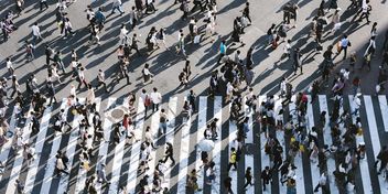 Bild: Ryoji Iwata – Unsplash