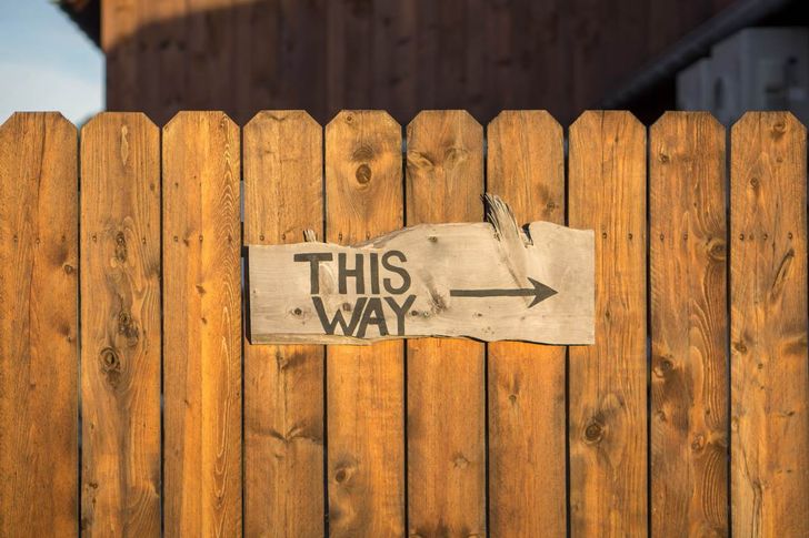 Bild: Jamie Templeton; CC0 - unsplash.com Bild: Jamie Templeton; CC0 - unsplash.com