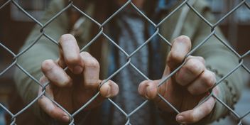 Bild: Mitchel Lensink – Unsplash