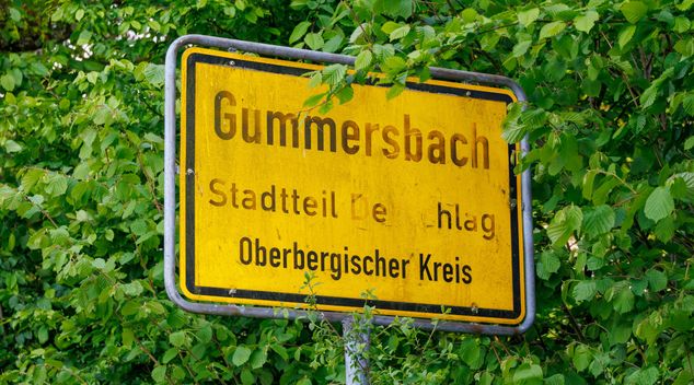 Bild: Stock Birken – Unsplash