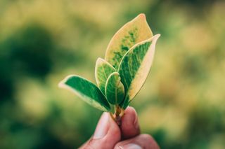 Bild: Chitto Cancio – Unsplash