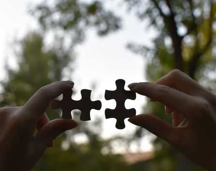 Bild: Vardan Papikyan - Unsplash