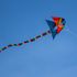 Bild: sungkomsilp - Adobe Stock