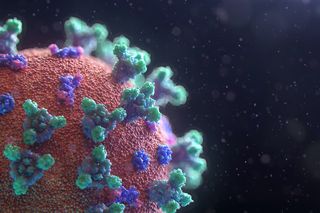 Bild: Fusion Medical Animation - Unsplash Bild: Fusion Medical Animation - Unsplash