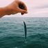 Bild: Mael BALLAND - Unsplash