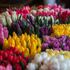 Bild: John-Mark Smith – Unsplash