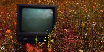 Bild: Alex Meza – Unsplash