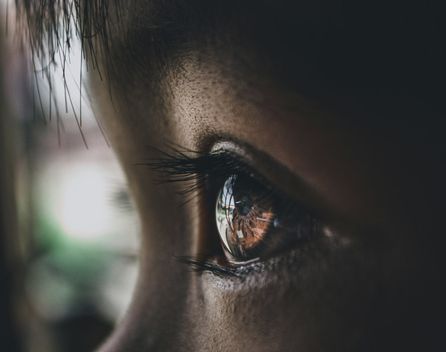 Bild: Diosming Masendo – Unsplash
