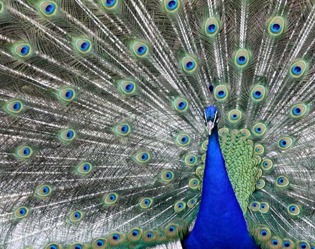 Bild: Sandra Würtinger – Unsplash