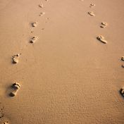 Bild: Felipe Correia – Unsplash