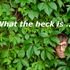 What the heck …ist Machine Learning?
