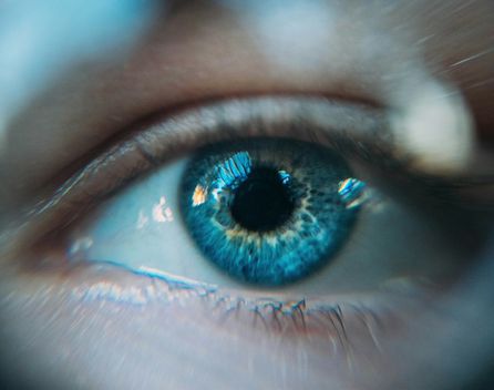 Bild: Ion Fet - Unsplash