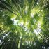 Bild: Kazuend 19 - Unsplash