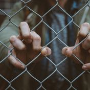 Bild: Mitchel Lensink – Unsplash