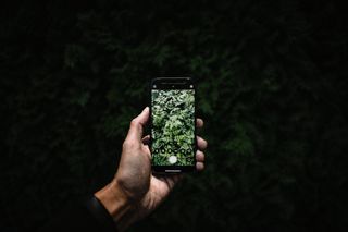 Bild: Ryunosuke Kikuno – Unsplash, bearbeitet mit KI/ChatGPT