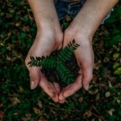 Bild: Noah Buscher – Unsplash